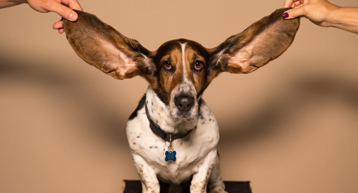 Listening helps pronunciation 