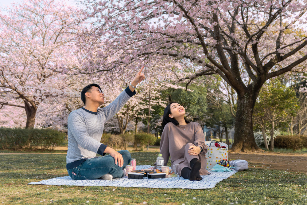 Family having some quality time together outdoors during hanami