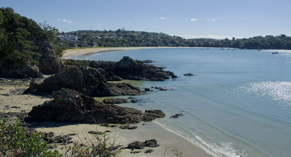 New Zealand coast