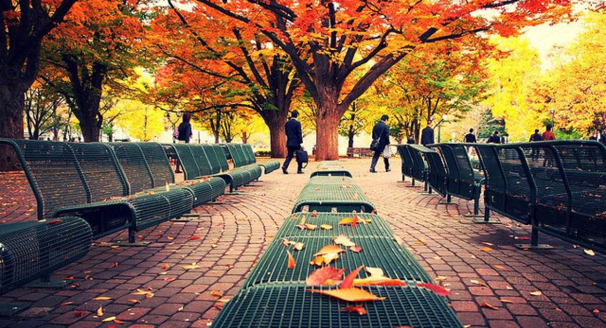Odori Park on a crisp morning in late October