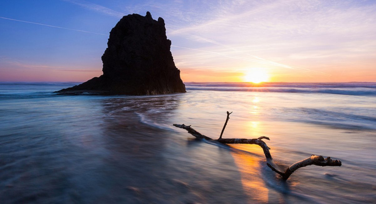 ocean rock driftwood smooth sunset