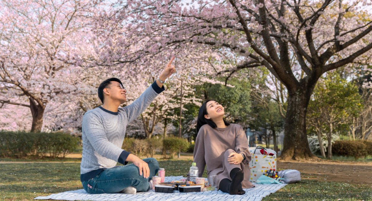 Family having some quality time together outdoors during hanami